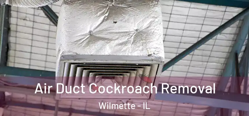 Air Duct Cockroach Removal Wilmette - IL