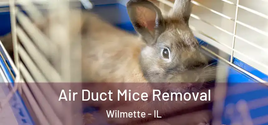 Air Duct Mice Removal Wilmette - IL