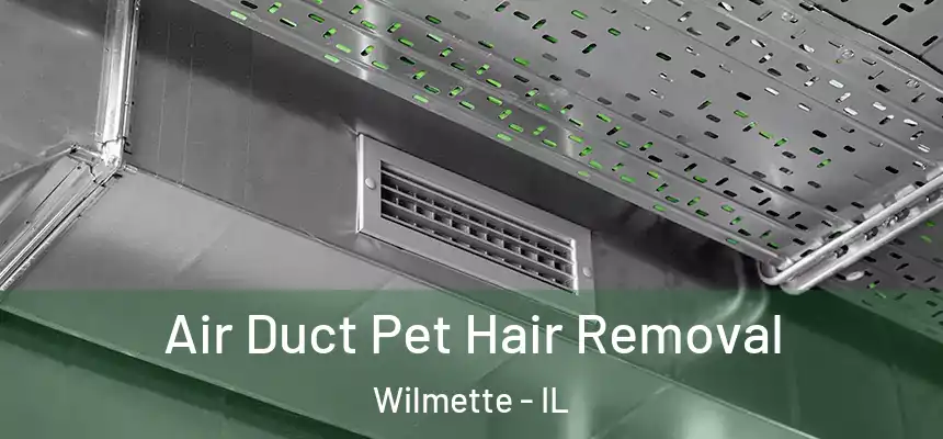 Air Duct Pet Hair Removal Wilmette - IL