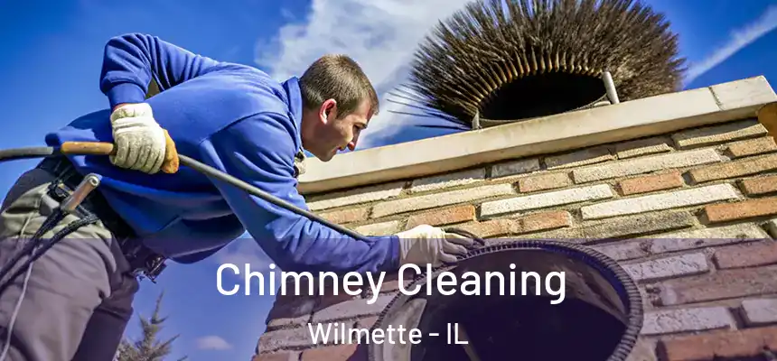Chimney Cleaning Wilmette - IL