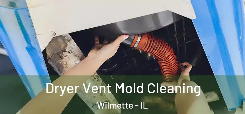 Dryer Vent Mold Cleaning Wilmette - IL