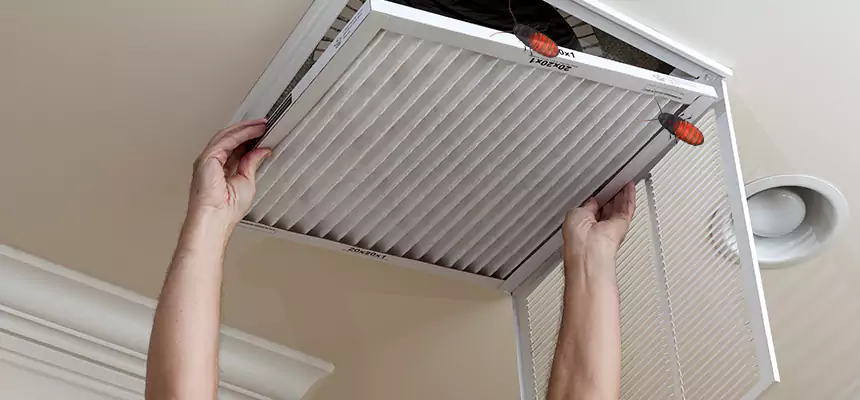 Preventive Cockroach-Proofing for Ducts in Wilmette