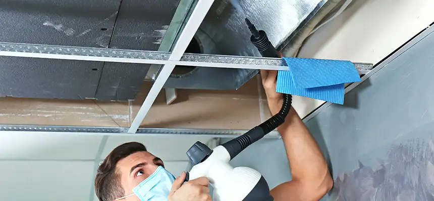 Our Air Duct Rodent Removal Services in Wilmette, IL