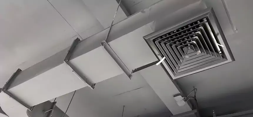 Restorative Allergy Relief Vent Cleaning – Coil, Blower & Housing Detail in Wilmette