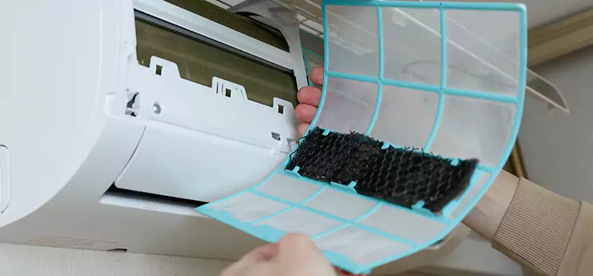 Gentle Ductwork Odor-Control Pet Dander Duct Cleaning in Wilmette, IL