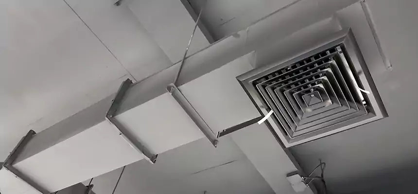 Our Rodent Droppings In Vents Services in Wilmette, IL