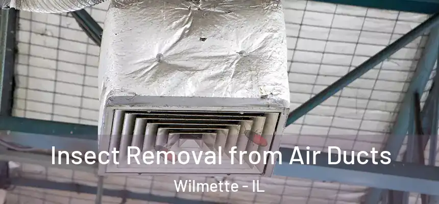 Insect Removal from Air Ducts Wilmette - IL