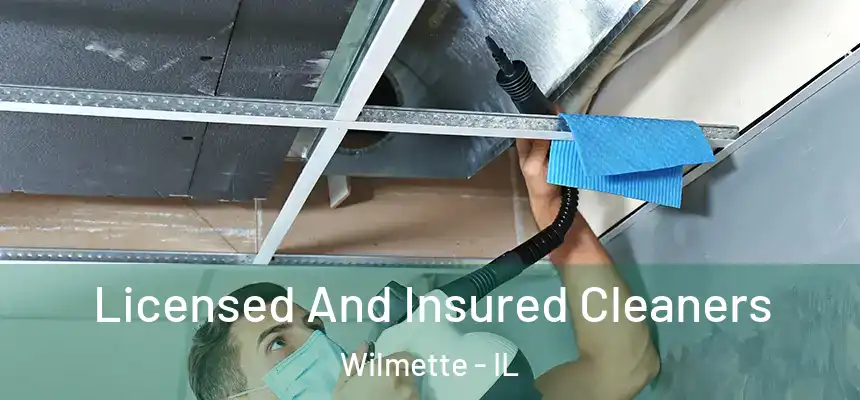 Licensed And Insured Cleaners Wilmette - IL