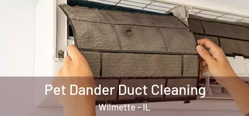 Pet Dander Duct Cleaning Wilmette - IL