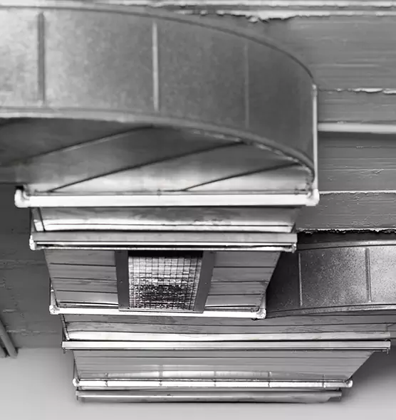 Professional Air Duct Pet Hair Removal in Wilmette, IL