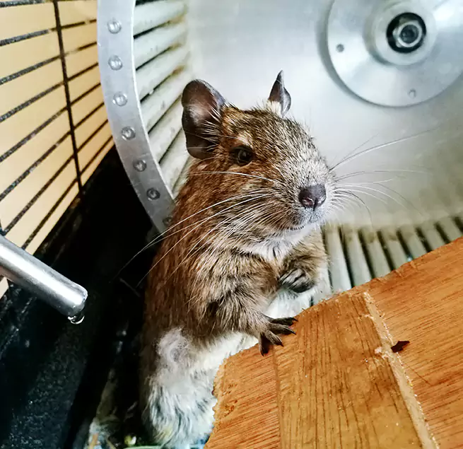 Why Homeowners & Businesses Trust Us Wilmette, IL