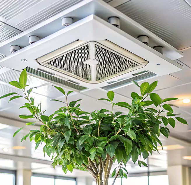 Why Homeowners & Businesses Trust Us in Wilmette, IL