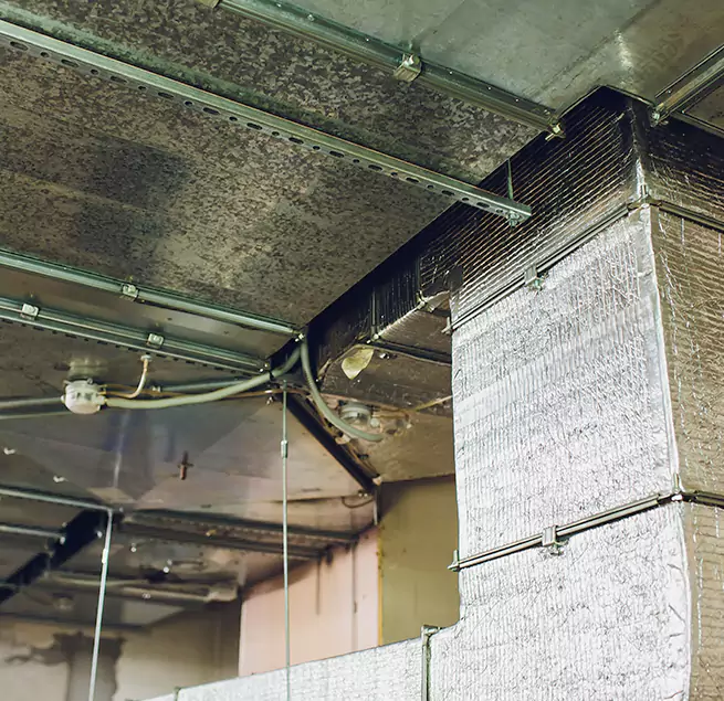 Why Homeowners & Businesses Trust Us in Wilmette, IL?